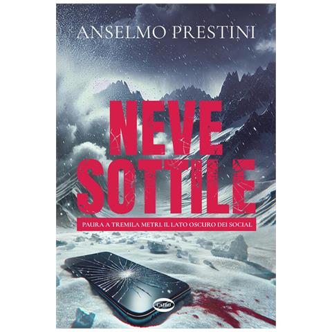 Anselmo Prestini - Neve sottile - Foto 1