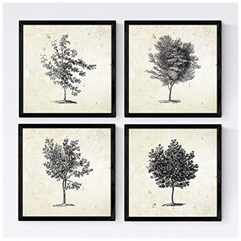 Set Di 4 Stampe Fogli Di Alberi. Arboleda , Sfondo D'epoca Vecchia Carta Poster Di E Gli Inchiostri Di Alta Qualità. Senza Cornice 20x20 Cm - Foto 1