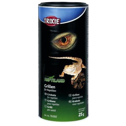 Grilli Crickets Gr 25 / 250 Ml - Alimento Per Rettili E Piccoli Mammiferi - Foto 2