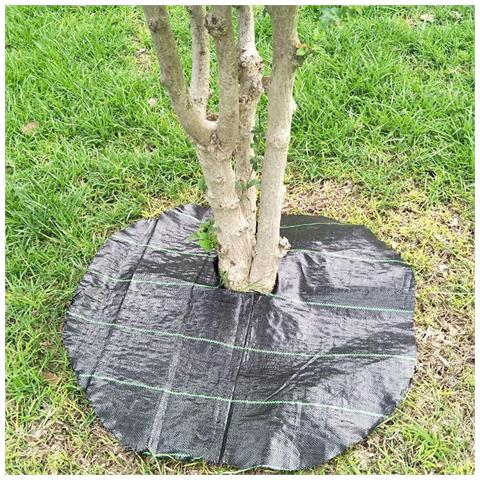 Telo Professionale Per Pacciamatura Anti Alga/ Erbacce In Polipropilene  210cm X 40m  - 100gr/mq - Foto 4