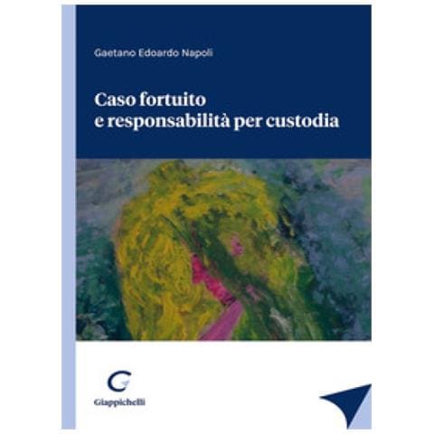 Gaetano Edoardo Napoli - Caso Fortuito E Responsabilità Per Custodia - Foto 1