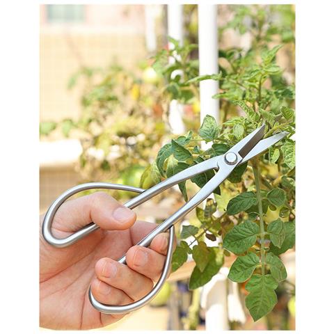 Forbici Da Giardinaggio Per Bonsai Da 20 Cm - Ideali Per Germogli E Foglie Tenere - Foto 6