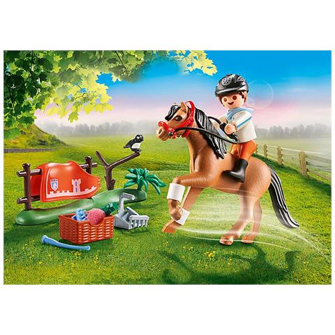 Pony Connemara - Foto 2