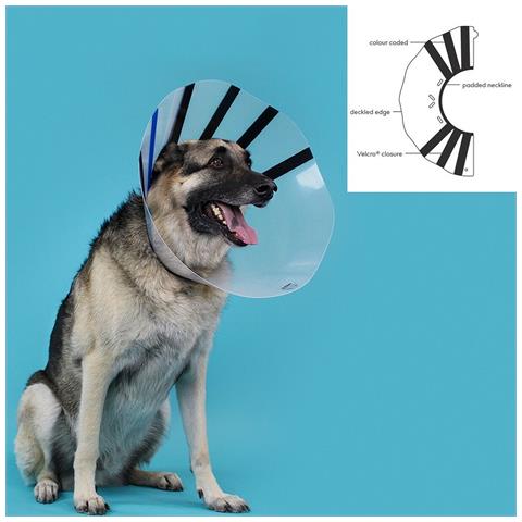 Collare Elisabettiano Per Cani Kvp Ez Clear (16-19 Cm) - Foto 2