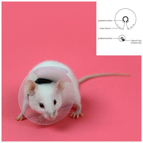 Collare Elisabettiano Oer Roditori Kvp Trasparente (2.5-3.2 Cm) - Foto 2