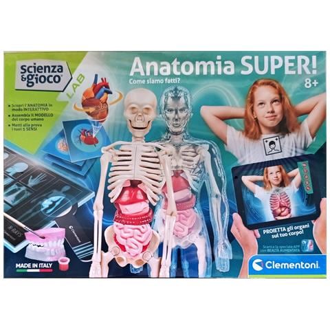 Science & Jeu Laboratoire - Scienza & Gioco Lab - Anatomia - Foto 2