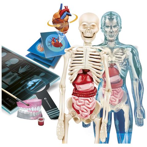 Science & Jeu Laboratoire - Scienza & Gioco Lab - Anatomia - Foto 3