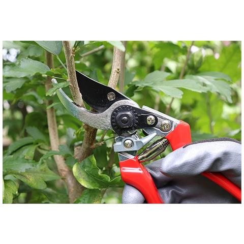 Forbice Da Pota Professionale 20 Cm In Alluminio Pressofuso E Lame Intercambiabili Brixo Swiss Tipo Felco - Foto 1