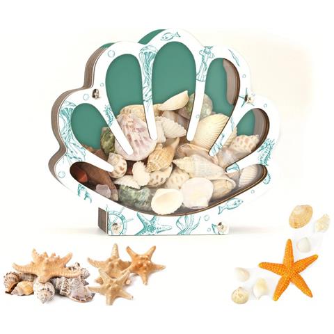 Scatola Di Immagazzinaggio A Forma Di Conchiglia In Legno - Decorazioni Costiere E Organizer Per Ricordi Green - Foto 2