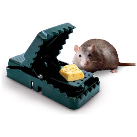 4 Trappole Per Topi - Venteo - Trappola Per Topi Professionale - Trappola Per Topi Riutilizzabile - Adatta Per La Casa E L'esterno - Trappola Per Topi - Verde - Dimensioni 6,5x10,5x5cm - Foto 1