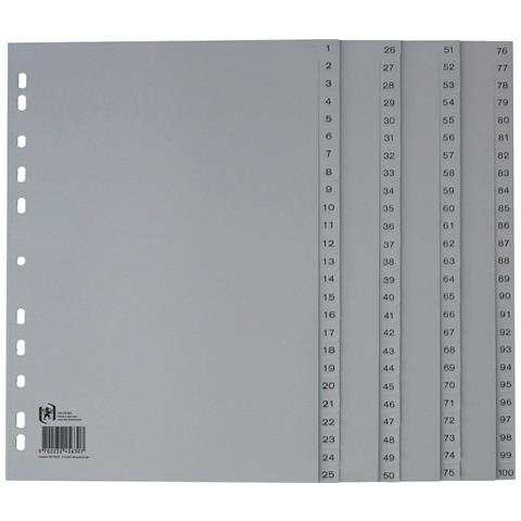 100204663 divisore Polipropilene (PP) Grigio - Foto 1