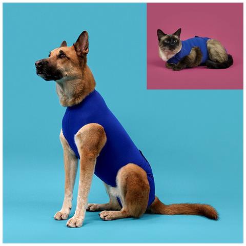Maglia Di Recupero Per Animali Azzurro (53-61 Cm) - Foto 2