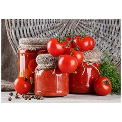 Passapomodoro Spremipomodoro Elettrico A Cinghia E Tavolo Ts Inox Palumbo - Foto 2