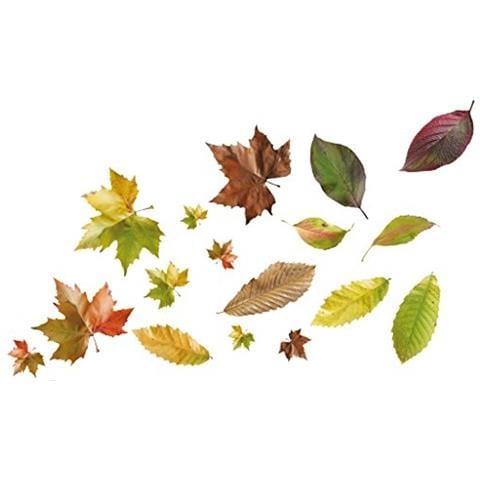 157011 Adesivi Murali - Stickers-foglie D'autunno, 2 Fogli 29,7 X 21 Cm - Foto 1