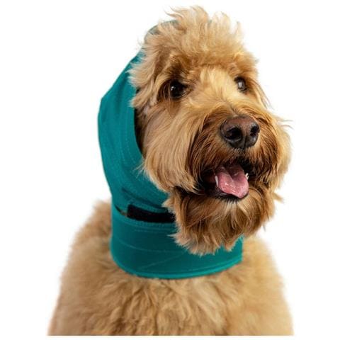 Protezione Orecchie Per Cani Kvp Verde Taglia S /m - Foto 1