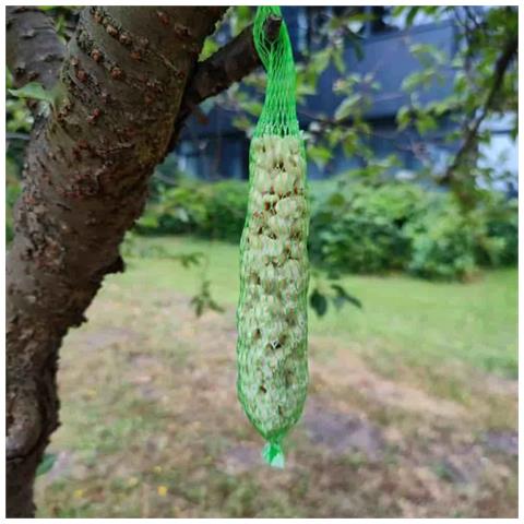 Mangime Per Uccelli Selvatici 0.18kg Bastoncini Di Arachidi Energetici 2 Pz - Foto 2