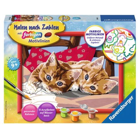 Zwei Schmusektzchen (28342)  - Foto 1