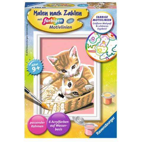 Katzenbabys (29686) - Foto 1