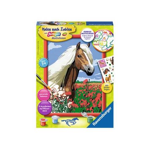 28652 Colore per kit di verniciatura in base ai numeri pagina e libro da colorare - Foto 1