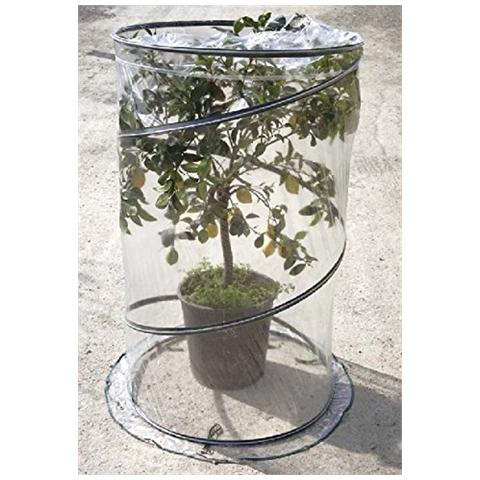 Serra Pop-up Citrus - Foto 1