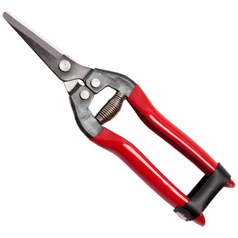 Forbice Cogliuva 190 Teflon - Foto 4