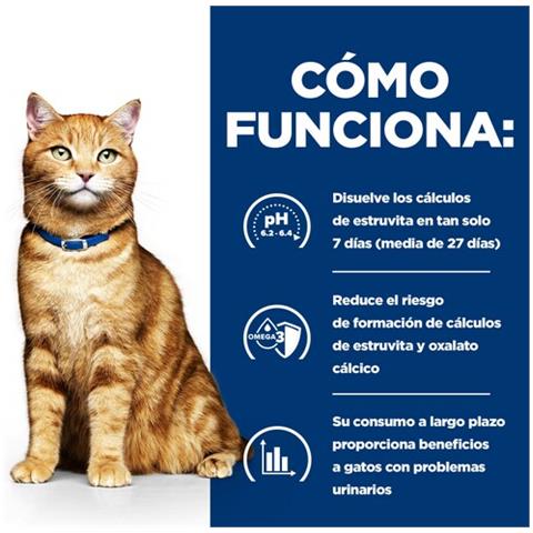 605889 cibo umido per gatti 8 kg - Foto 6