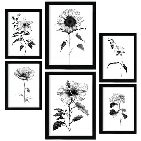 Set Di 6 Stampe Stampe Floreali Luminose E Botaniche Con Motivi Floreali In Un Classico Design D'interni In Bianco E Nero A3 & A4 Senza Cornice - Foto 1