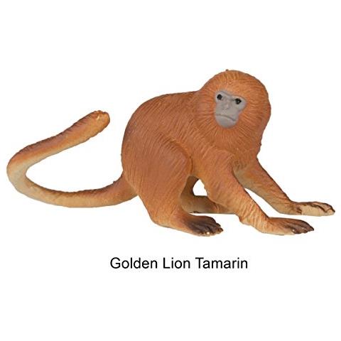 Safari Ltd Apes & Monkeys Toob - 12 Figurine: Babbuino, Orango, Tamarino, Lemure, Gorilla, Mandrillo, Scimpanzé, Scoiattolo, Ragno E Scimmie Lanose - Personaggi Giocattolo Educativi Per Ragazzi, Ragazze E Bambini Dai 3 Anni In Su - Foto 2