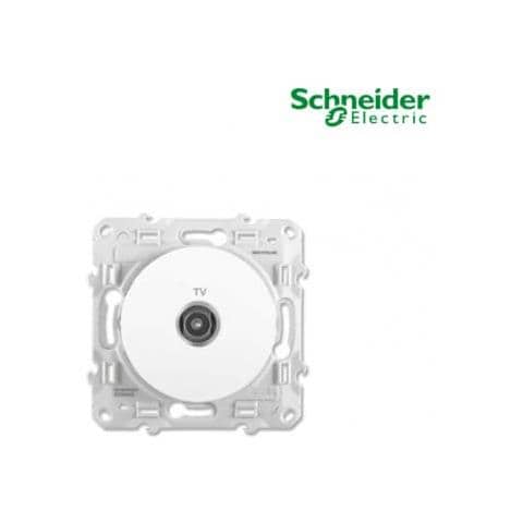 Presa Tv Odace - Foto 2