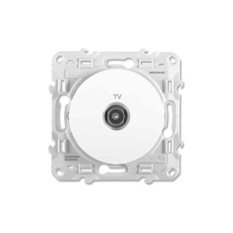 Presa Tv Odace - Foto 1