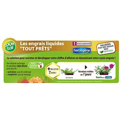Fertiligène Fertilizzante Ortensie E Rododendri 400 Ml - Foto 2