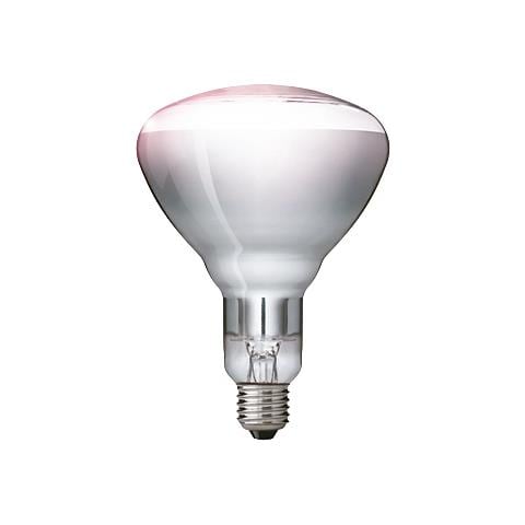 57523425 250W Lampadina Bianco lampada a infrarossi - Foto 1