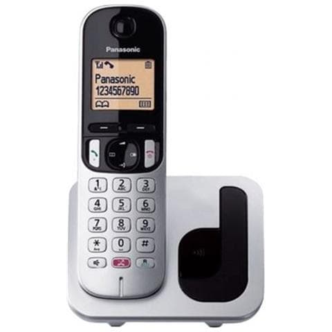 Telefono Cordless  DEC/GAP KX-TGC250SPS con ID Chiamate Colore Silver - Foto 1