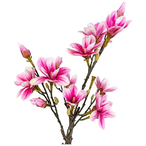 Magnolia Artificiale In Fiore Vikasa Home — H 75 Cm - Foto 2