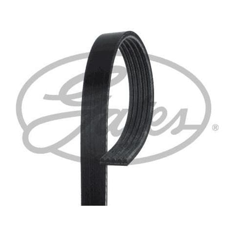 Accessorio Strap 5pk880 - Foto 1