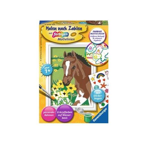 Fohlen (28463)  - Foto 1