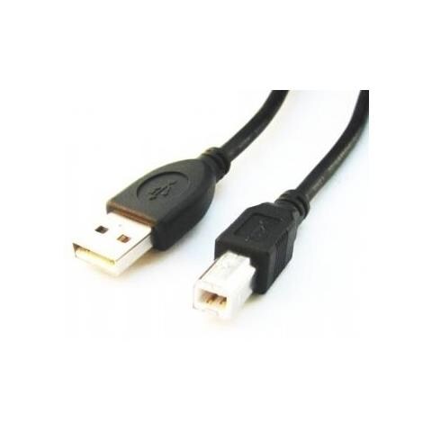 CCP-USB2-AMBM-6, USB A, USB B, 1,82m - Foto 1