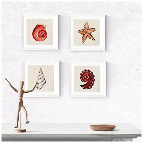 Set Di 4 Stampe Quadrate Rappresentazione Conchiglie Di Mare Di Spiaggia E Oceano Raffigurazioni Della Natura Cornice Nera 25x25 Cm - Foto 1