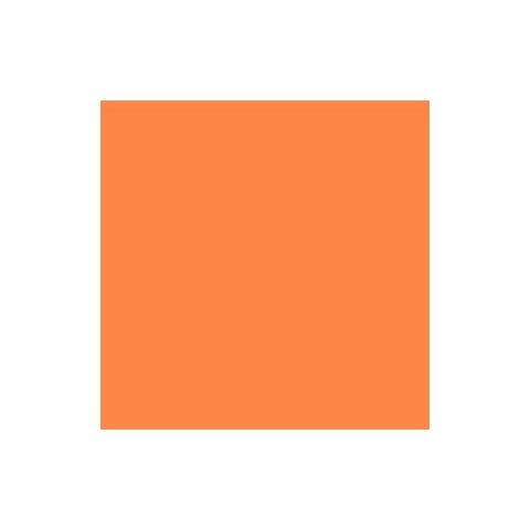 3602 Mango Tinta Base Colorante 0,25 L - Foto 2