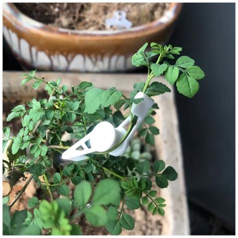 Clip Per Trainer Per Piante Regolabili A 360 Gradi White - Foto 2