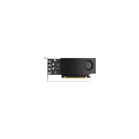 Rtx A1000 - Grafikkarten - Rtx A1000 - 8 Gb Gddr6 - Pcie 4.0 X8 Low-profile - 4 X Mini Displayport (900-5g172-2280-000) - Foto 1