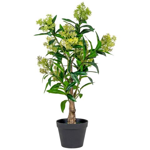 Skimmia Artificiale In Vaso House Nordic — H 75 Cm - Foto 1