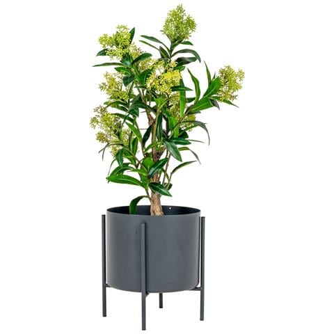 Skimmia Artificiale In Vaso House Nordic — H 75 Cm - Foto 2