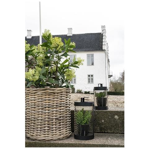 Skimmia Artificiale In Vaso House Nordic — H 75 Cm - Foto 8