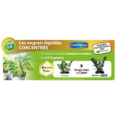 Fertiligène Fertilizzante Piante Verdi, 400 Ml - Foto 2