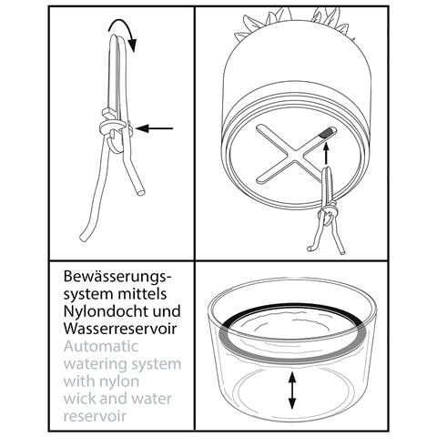 BOTANICO Vaso per erbe aromatiche Libera installazione Plastica, Acciaio inox Nero - Foto 2