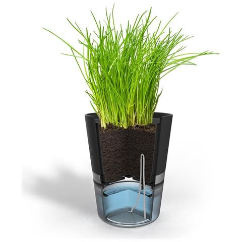 BOTANICO Vaso per erbe aromatiche Libera installazione Plastica, Acciaio inox Nero - Foto 5