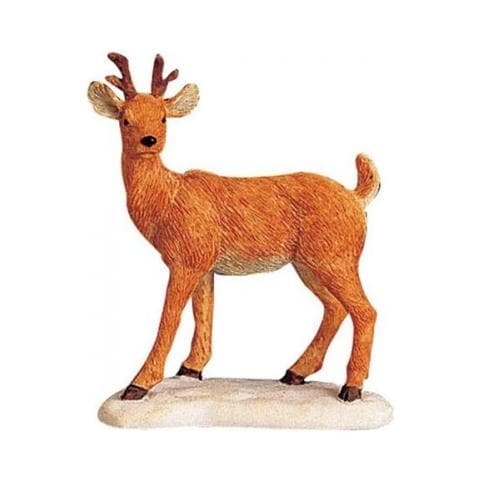 Cerbiatto - Deer On The Hoof - Foto 1