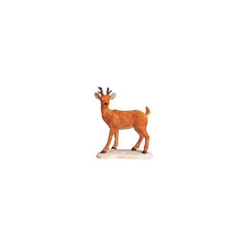 Cerbiatto - Deer On The Hoof - Foto 3