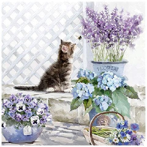 Tovaglioli 3veli 33x33cm Kitten 20pz - Foto 1